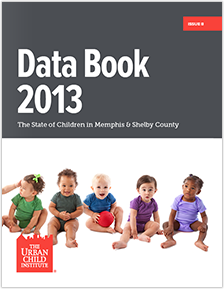 Data Book 2013