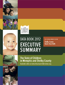 2012 Data Book Executive Summary