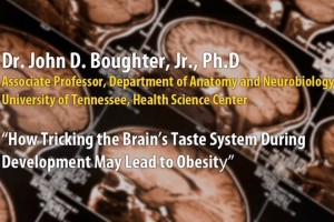 2013-03-21 Brain Awareness Night Dr. Boughter